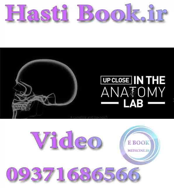 فیلم Up close in the anatomy (Professor Cotofana Anatomy review) (Videos)  (2)